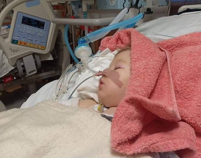 Fetița jandarmeriței ucise pe trecerea de pietoni s-a întors acasă de sărbători