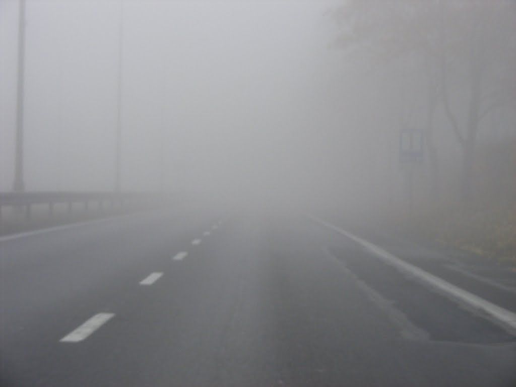 Cod galben de ceață în zona joasă a județului Suceava