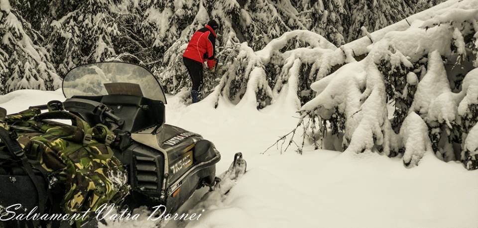 Traseul turistic Rusca-Cabana Giumalău blocat de copaci FOTO