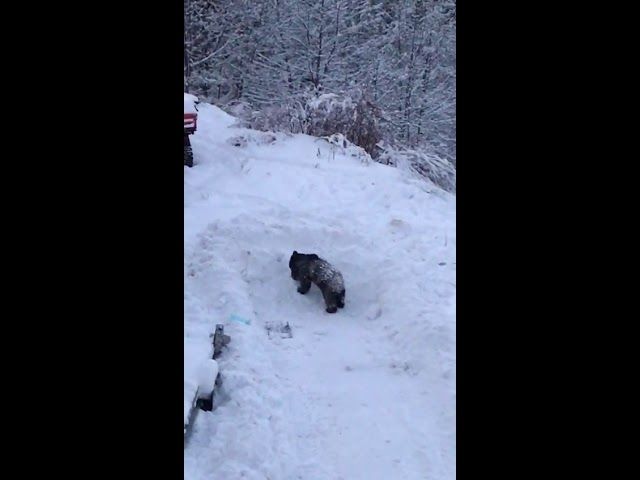 Incendiu la un bloc din municipiul Suceava. Mai multe pesoane au fost evacuate VIDEO