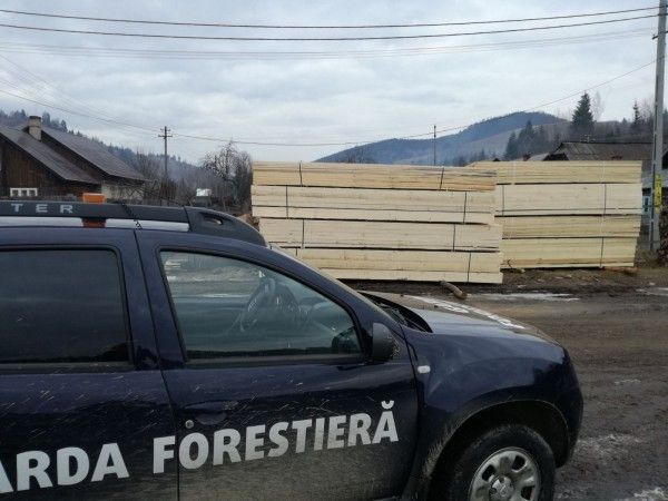 Aproape de 2.000 de metri cubi de lemn tăiat ilegal, descoperiți anul trecut de Garda Forestieră Suceava