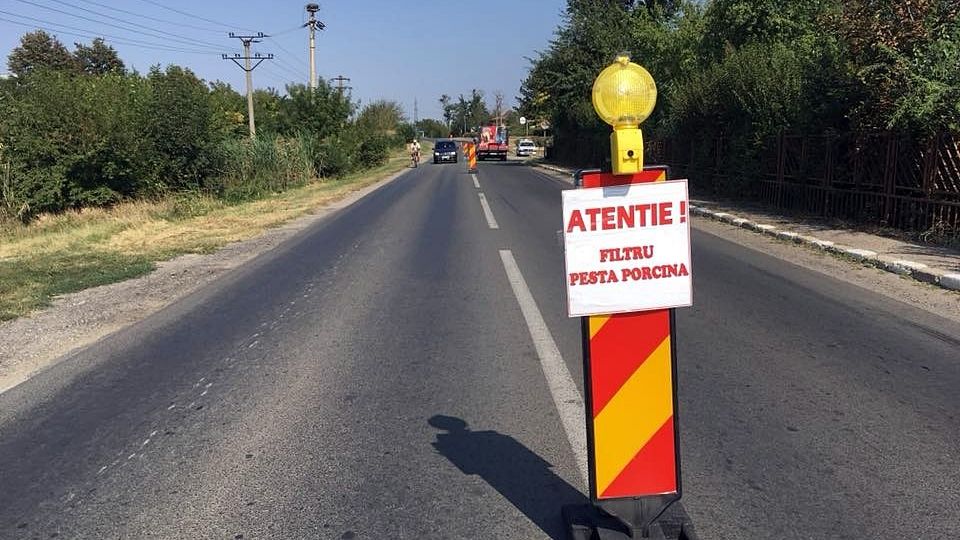 Filtre rutiere la granița Suceava-Botoșani împotriva pestei porcine africane