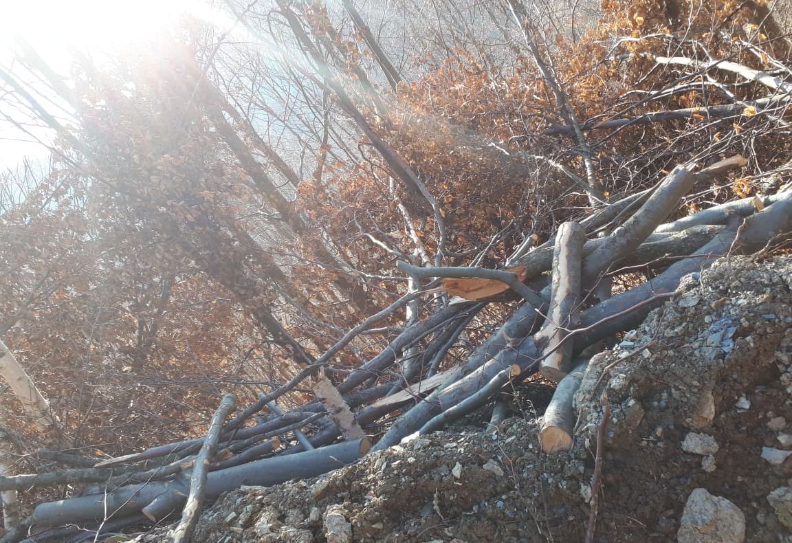 Șase cetățeni din Bangladesh, prinși la Falcău după ce au trecut ilegal granița FOTO