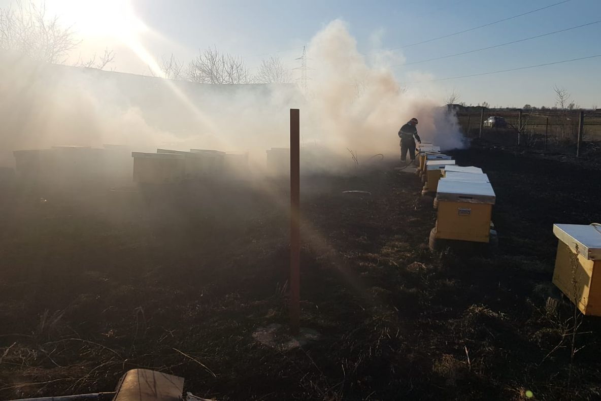 Incendiu în municipiul Rădăuți. Flăcările au pornit de la o țigară aruncată la întâmplare VIDEO