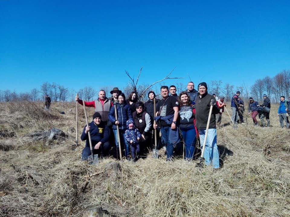 Pădure plantată de USR Suceava în compensare pentru hârtia consumată pentru inițiativa Fără Penali în Funcții Publice