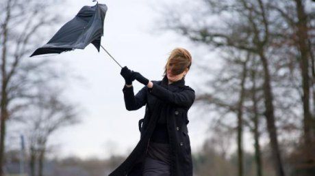 Cod galben de vânt pentru zona de munte a județului Suceava