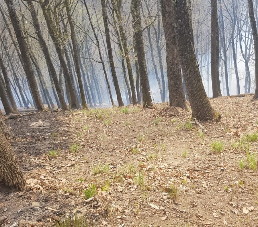 Polițiștii suceveni continuă campania “Siguranță de Nota 10” FOTO