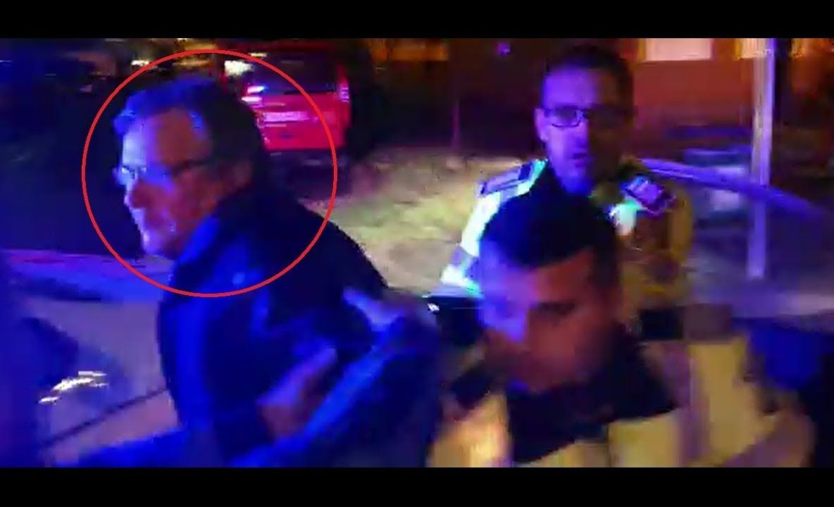 VIDEO Urs impunător filmat în pădurile de lângă Broșteni