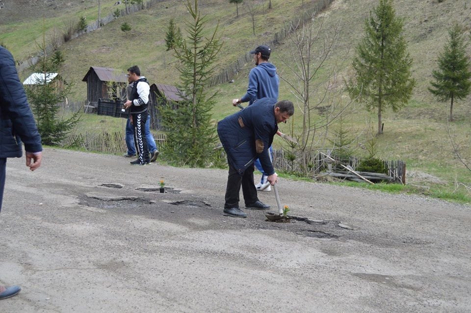 Protest inedit la Broșteni. Mai mulți localnici au plantat flori și puieți în gropile din asfalt FOTO