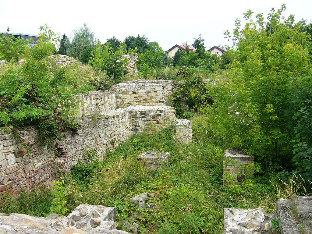 Curtea Domnească ar putea fi restaurată de Institutul Național al Patrimoniului