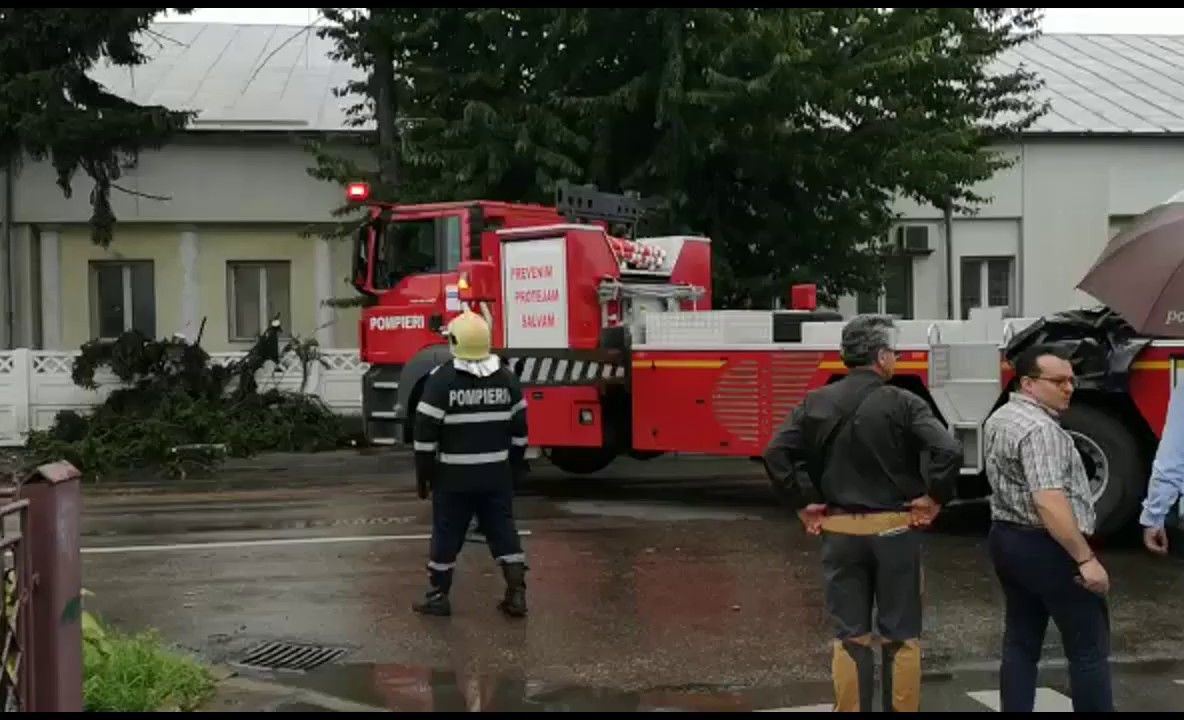 Arbori doborâți de vânt în mai multe localități din județul Suceava FOTO VIDEO