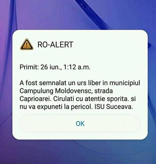 RO-ALERT: “A fost semnalat un urs liber în municipiul Câmpulung Moldovenesc” FOTO