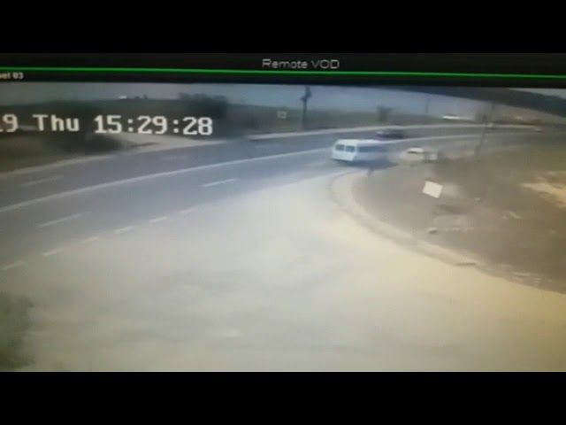 Proiect al unui ordin de relocare în regim de urgență a ursoaicei cu pui de la Câmpulung, publicat de Ministerul Mediului