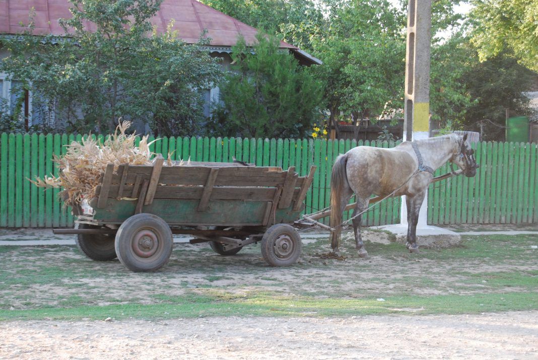 Șoferiță rănită după ce a acroșat cu mașina o căruță nesemnalizată