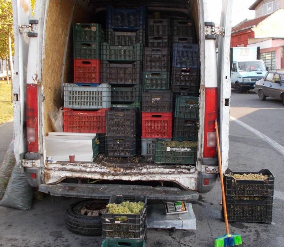 O femeie a căzut de pe o scară în timp ce culegea struguri