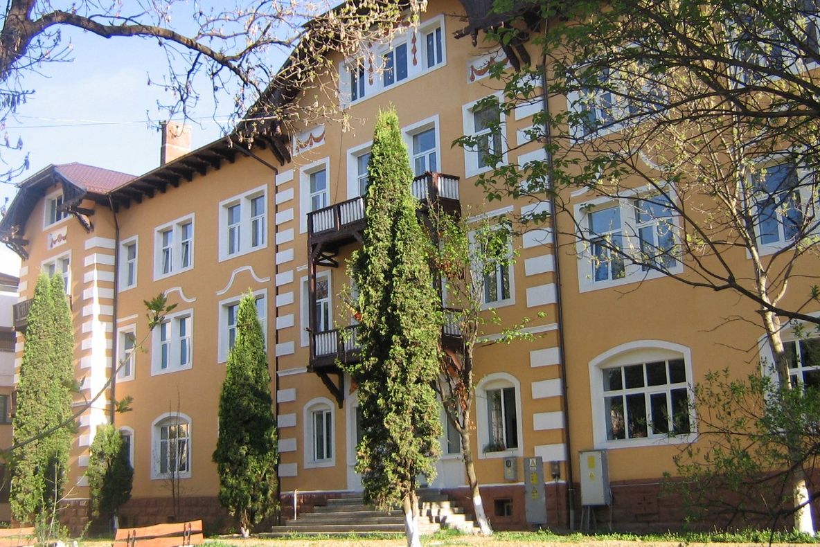 Din cauza vitezei un șofer a intrat cu autoutilitara într-un capăt de pod, după care s-a răsturnat