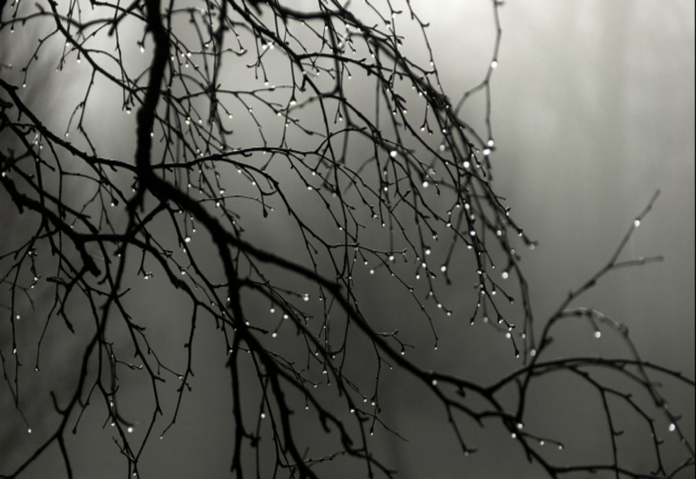 Vreme deosebit de rece, ninsori la munte și precipitații mixte