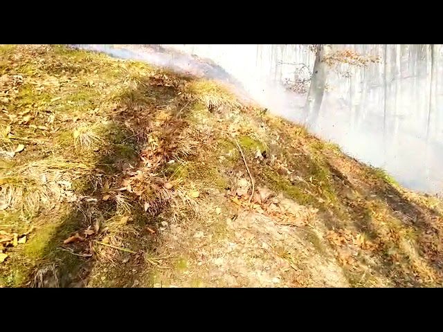 VIDEO Profesoară către un elev: „Tu ești tănău? Te urăsc! Nu te pot suporta!”