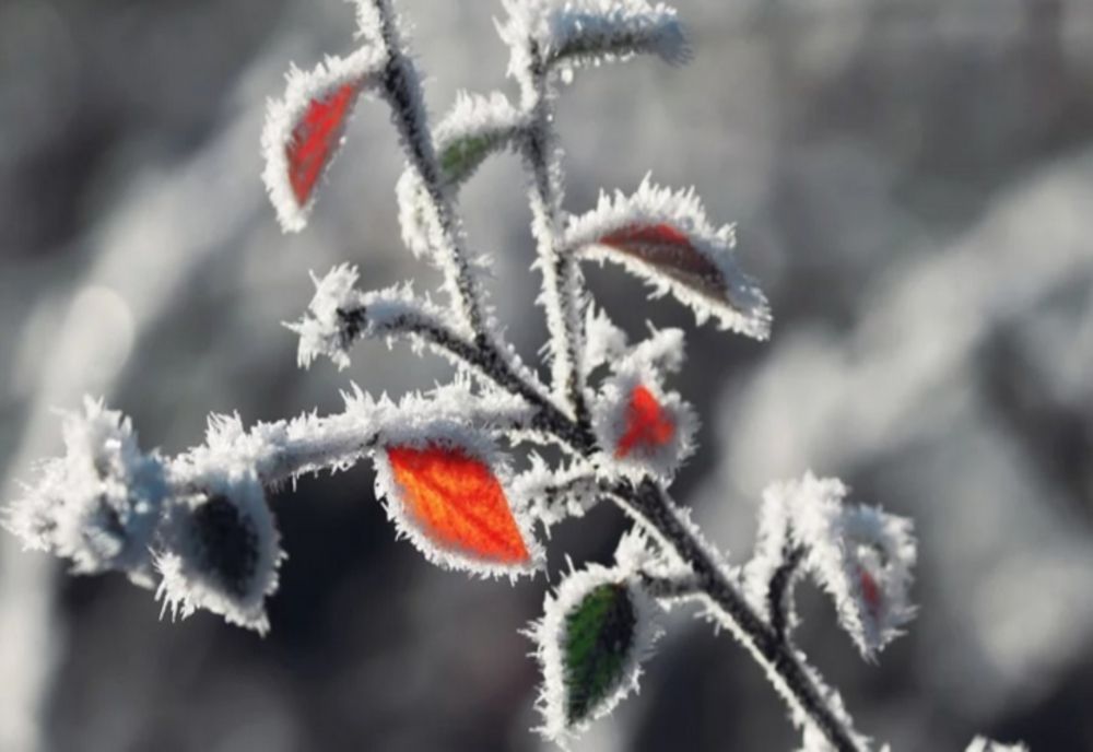 Prognoza meteo pe următoarele două săptămâni