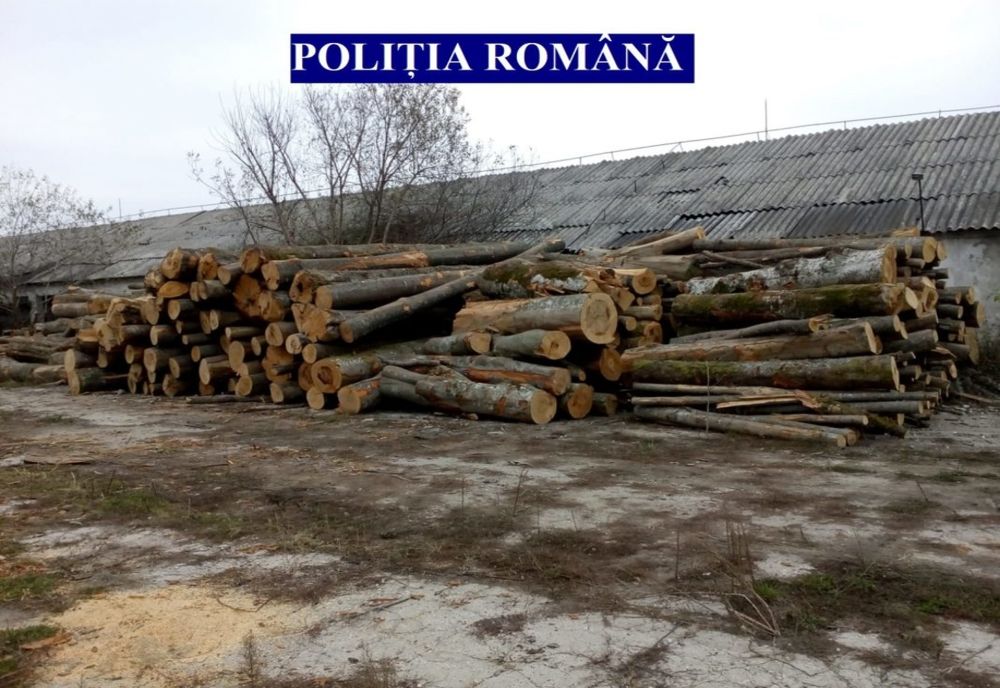 Material lemnos în valoare de 1,2 de milioane lei confiscat de polițiști de la o firmă din Câmpulung Moldovenesc