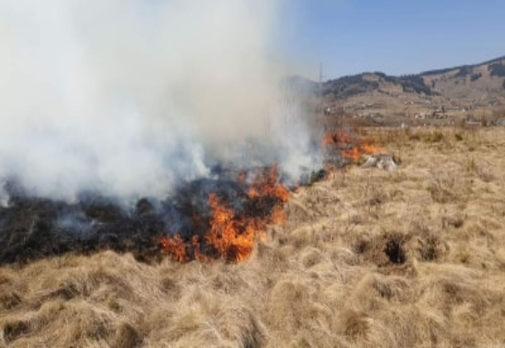 Incendiu de vegetație uscată și resturi de exploatare forestieră, la Șaru Dornei VIDEO