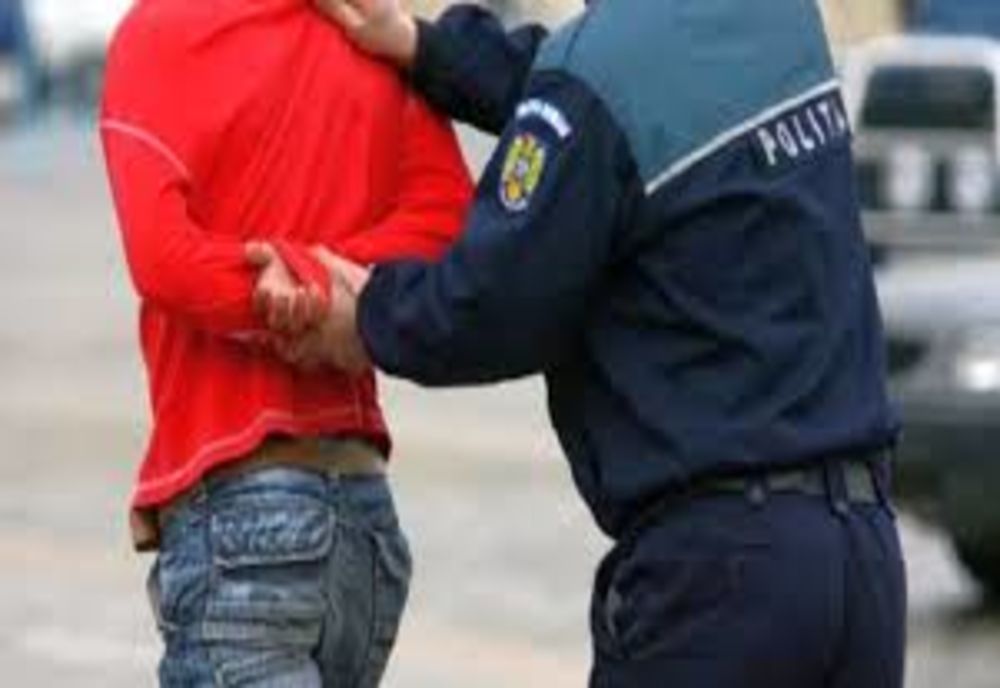 60 de zile de control judiciar pentru un bărbat care a lovit doi polițiști