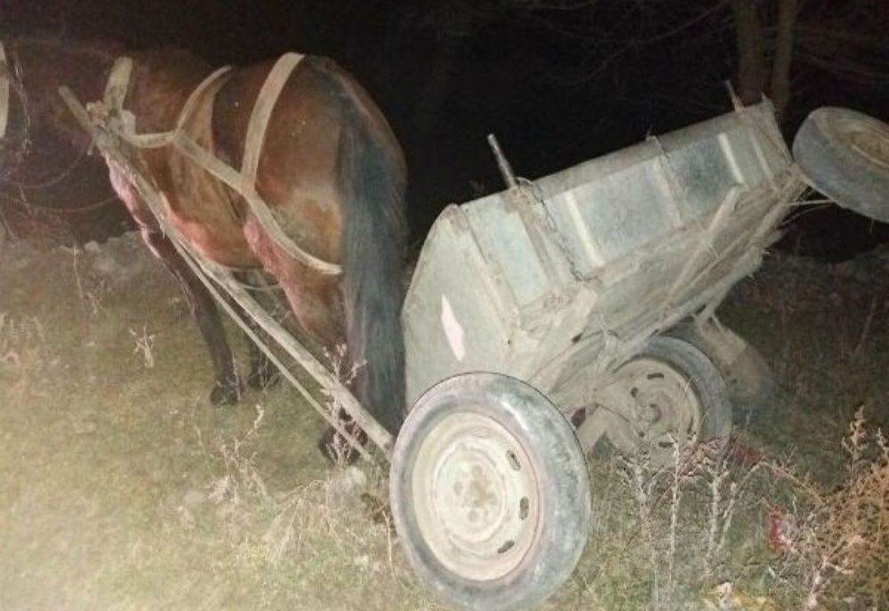 Un căruțaș beat s-a răsturnat cu căruța