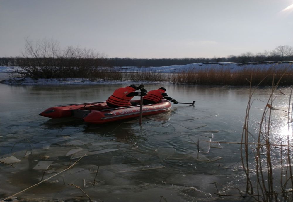 Lebede salvate de pompierii suceveni