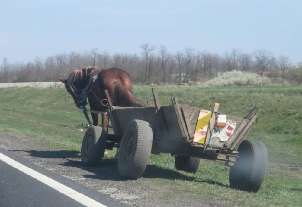 Un căruțaș a ajuns la spital după ce s-a răsturnat cu căruța în șanț
