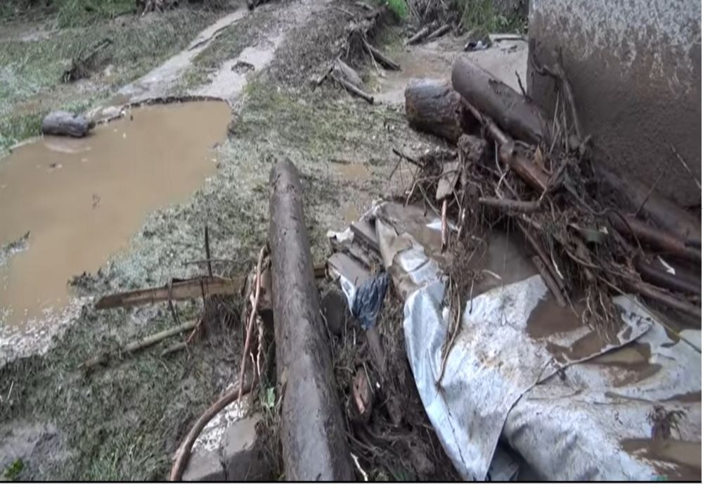 Gospodării afectate de viitură