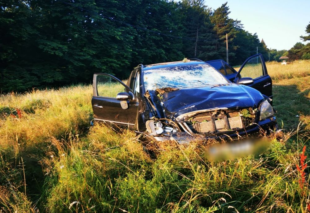 S-au oprit cu mașina într-un copac