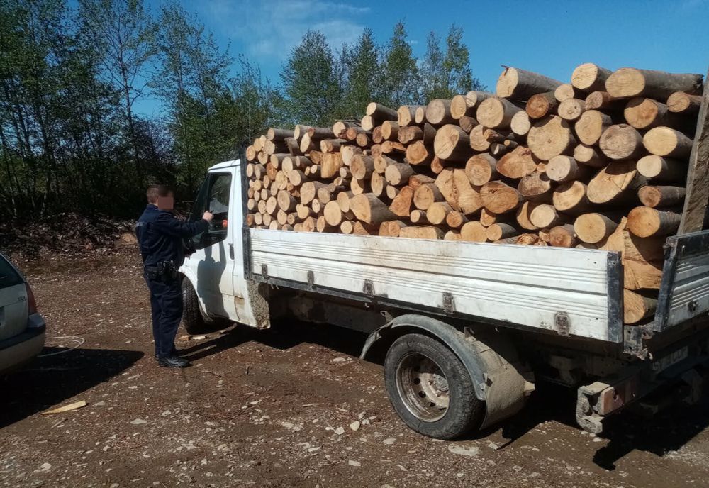 Dosar penal, material lemnos confiscat și vehicul în valoare de 30.000 Euro indisponibilizat pentru transport ilegal de lemn 