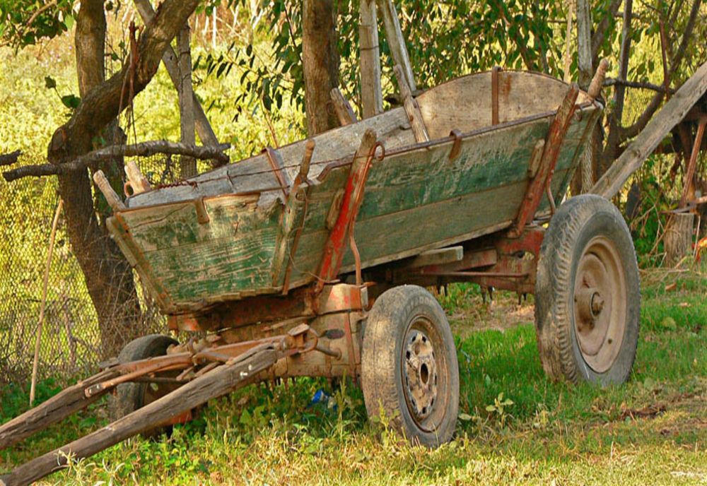 Și condusul căruței poate fi fatal: un bărbat a murit după ce a fost aruncat cu capul într-un copac