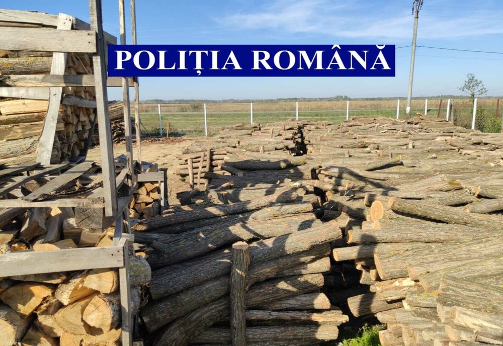 Mașină și remorcă reținute de polițiști, din cauza unui transport de lemne