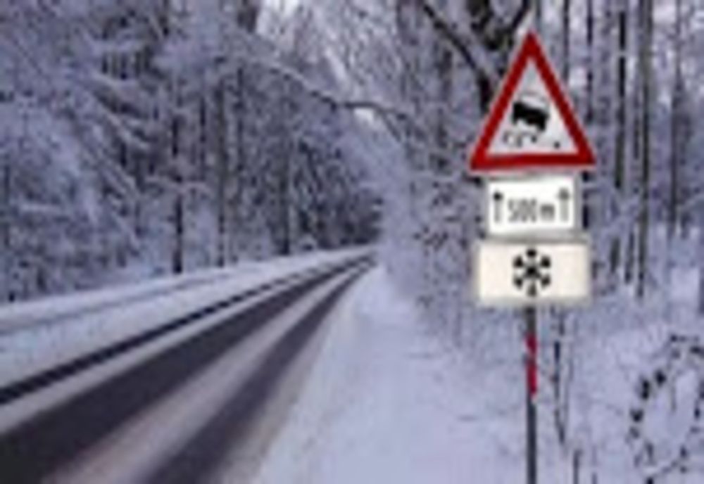 Vremea 7 decembrie - Cod galben de ninsori - Ce zone sunt vizate