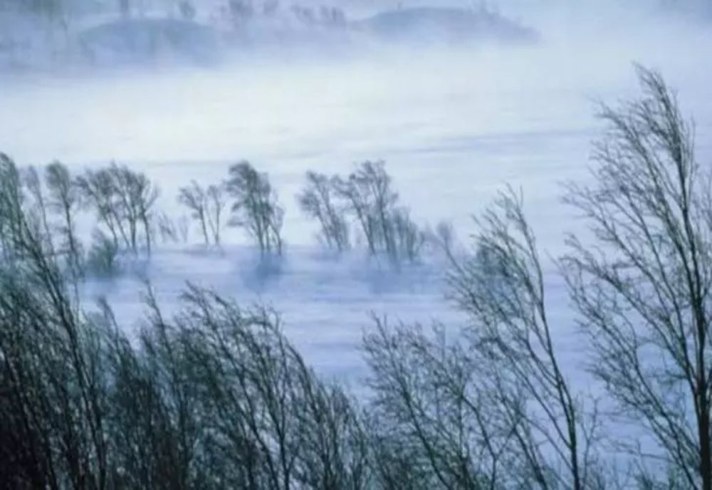 Avertizare meteo: Cod galben de vânt puternic, în două județe din Moldova