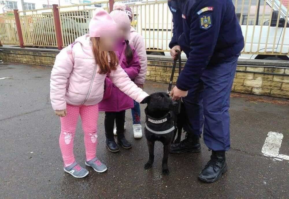 Activități cu ocazia aniversării celor 172 de ani de la înfiinţarea Jandarmeriei Române