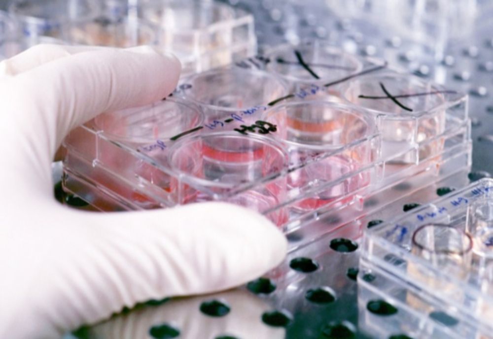 Avertismentul medicilor: te-ai născut înainte de 1990? Fă-ţi de urgenţă aceste analize medicale!