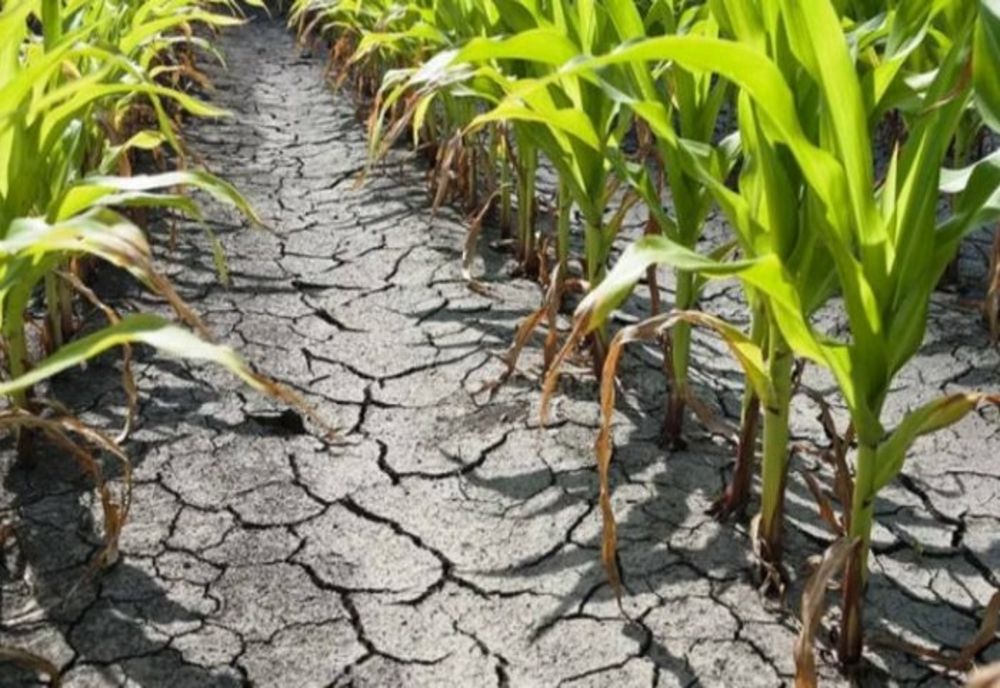 SECETĂ în România: Petre Daea a prezentat planul național de irigații până în anul 2027