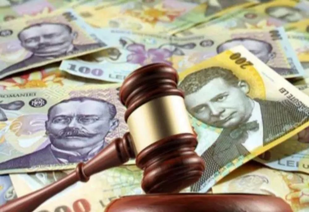 O persoană fizică din județul Suceava nu a declarat venituri de peste 3,6 milioane de lei