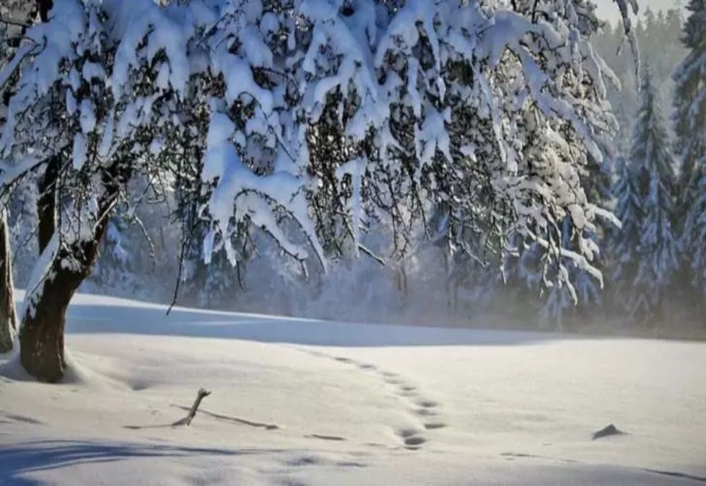 Schimbare bruscă a vremii - temperaturi la limita înghețului. Încep NINSORILE - ANM, prognoza completă