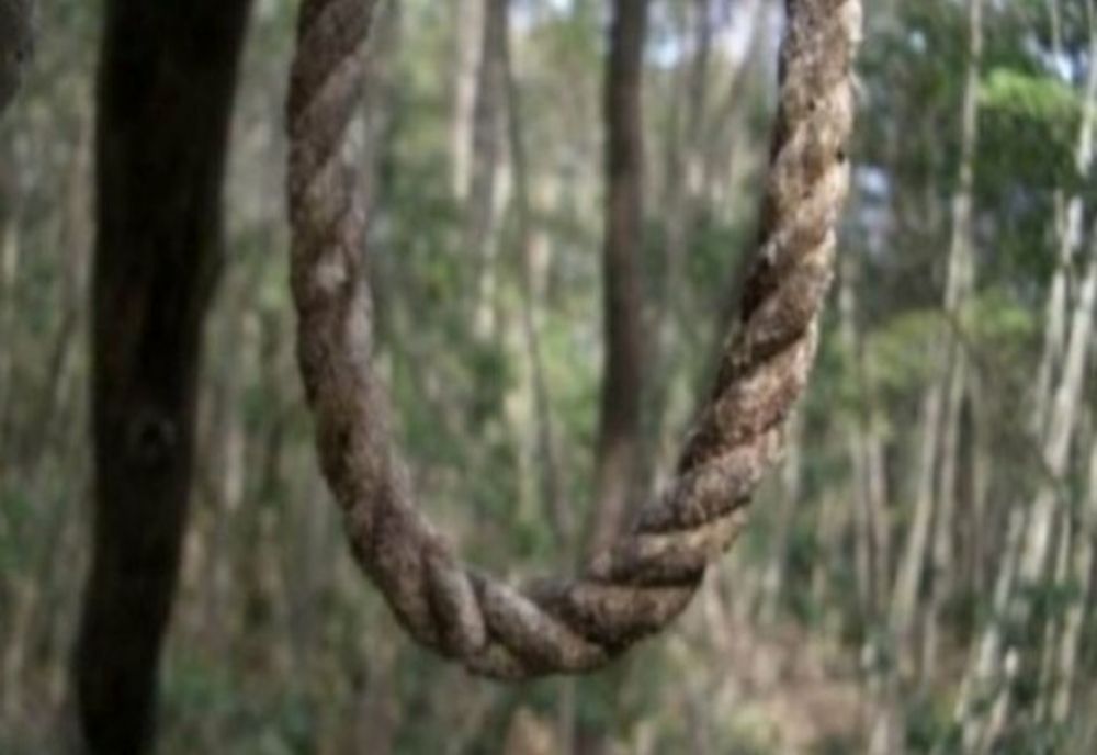 Elev de 17 ani, găsit spânzurat într-o pădure dintr-o localitate suceveană