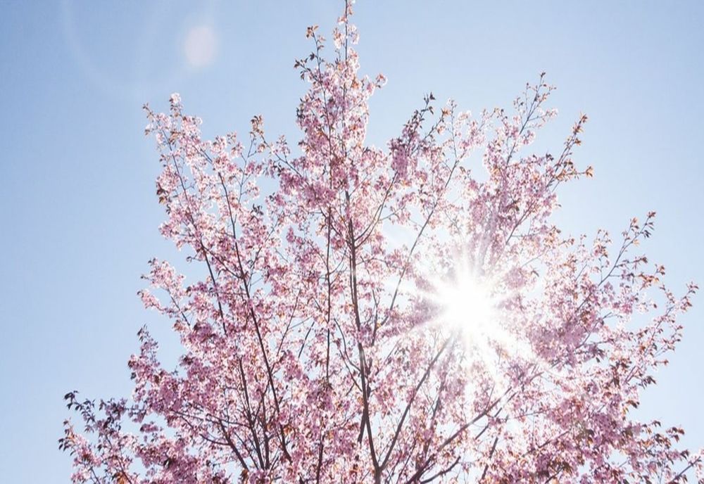 Temperaturi în creştere în cea mai mare parte a ţării astăzi