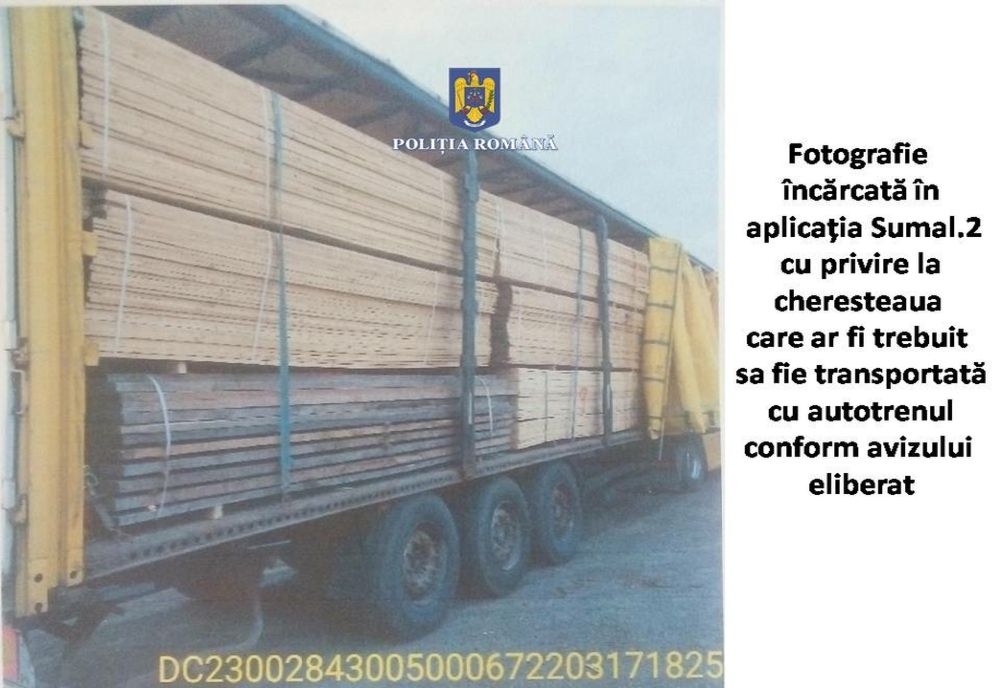 Transport fictiv de cherestea, identificat de polițiști