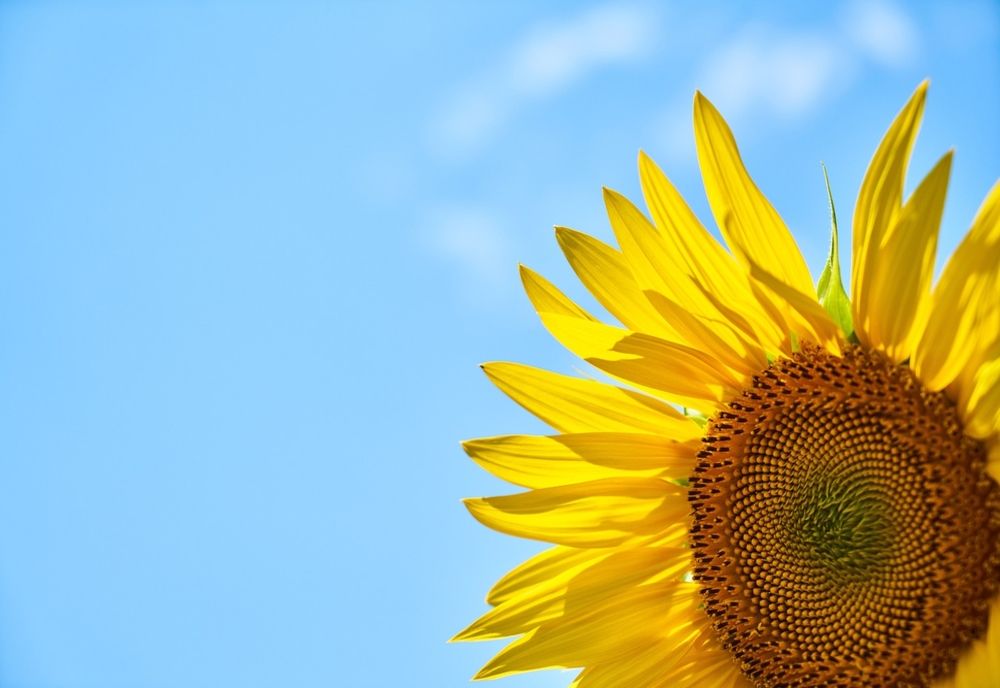 Prognoza meteo. Vreme caniculară în cea mai mare parte din țară