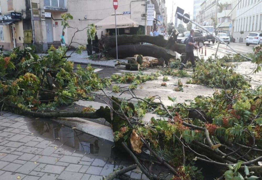 FURTUNA A FĂCUT PRĂPĂD ÎN ȚARĂ. TREI OAMENI AU MURIT, ZECI DE AUTOTURISME AU FOST AVARIATE