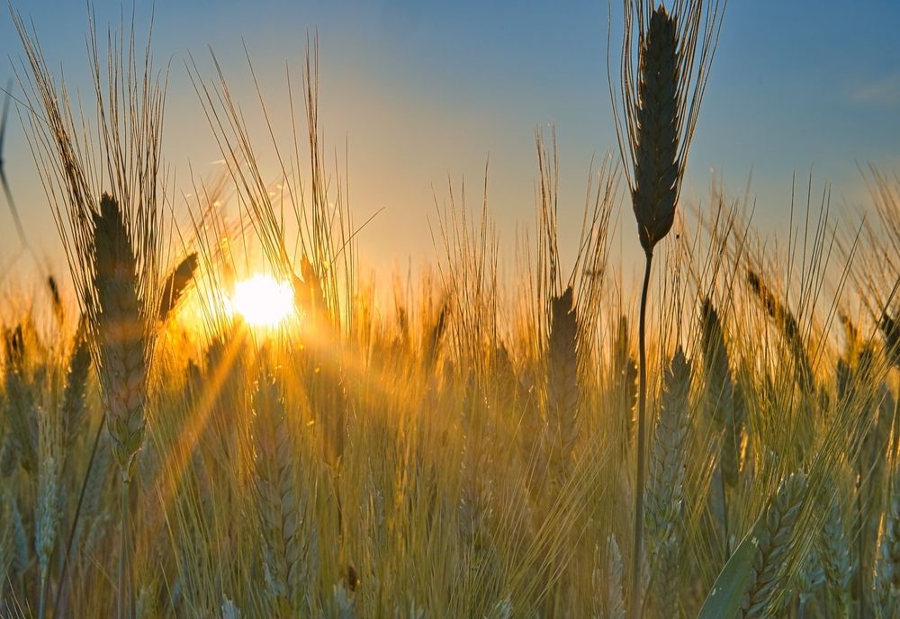 VREMEA 31 MAI. TEMPERATURILE CRESC ÎN TOATĂ ȚARA