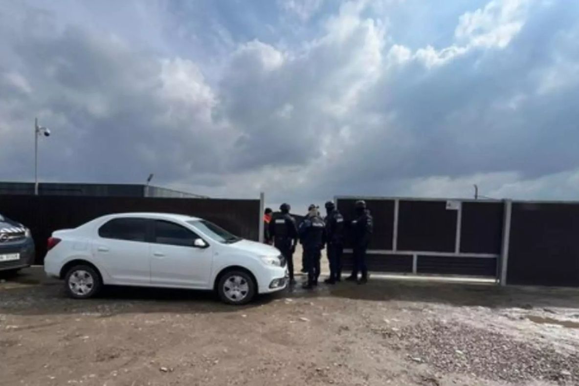 Anchetă de amploare în Suceava: adăpost de animale vizat după moartea a sute de câini. Acuzații grave