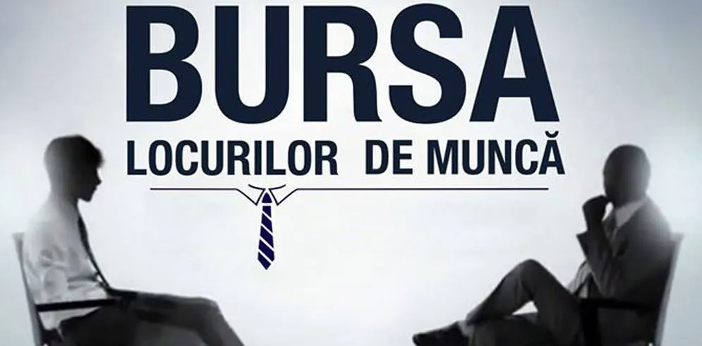 bursa locurilor de muncă pentru absolvenți