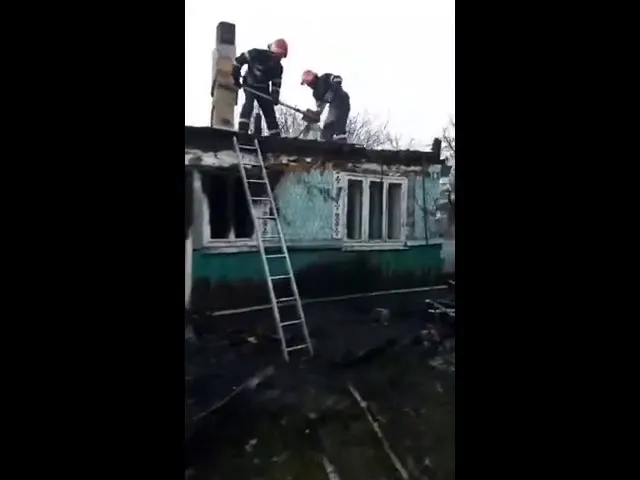 47894